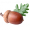 nut01